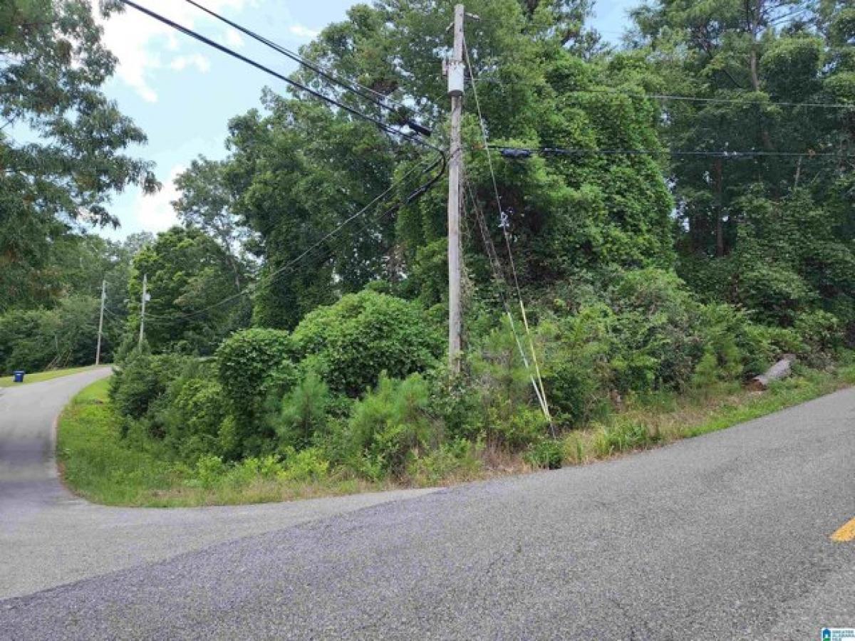 Picture of Residential Land For Rent in Anniston, Alabama, United States