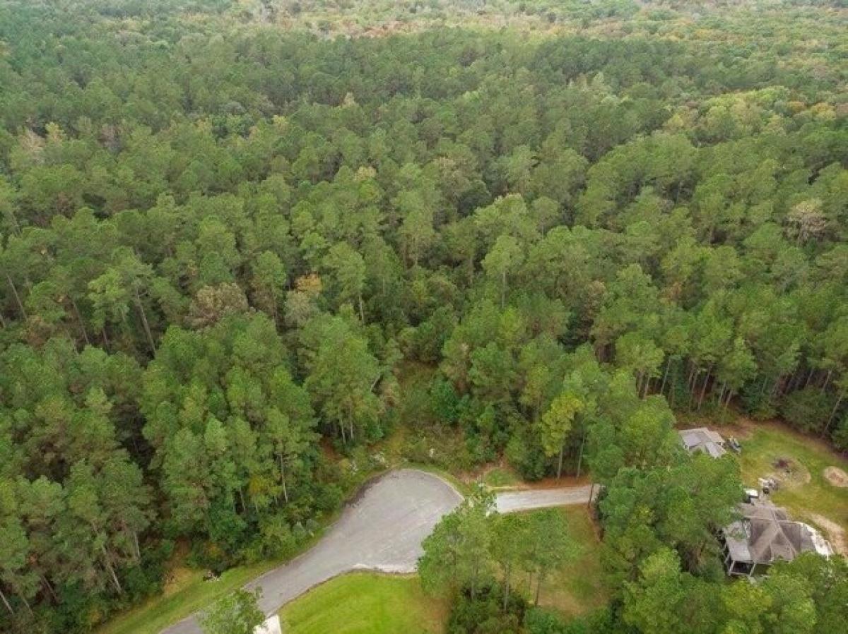 Picture of Residential Land For Sale in Moncks Corner, South Carolina, United States