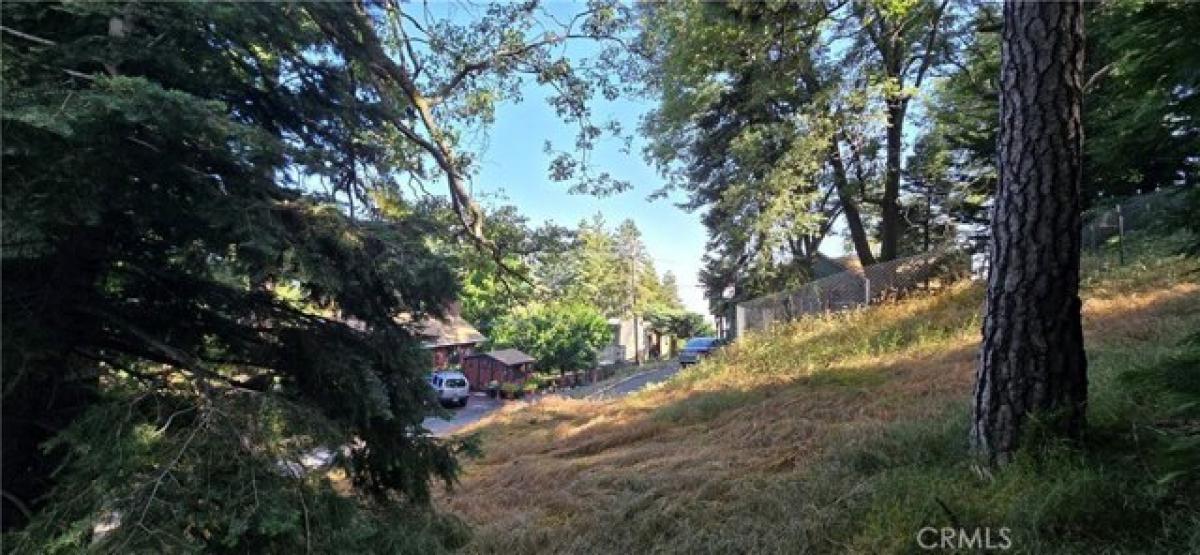 Picture of Residential Land For Sale in Crestline, California, United States