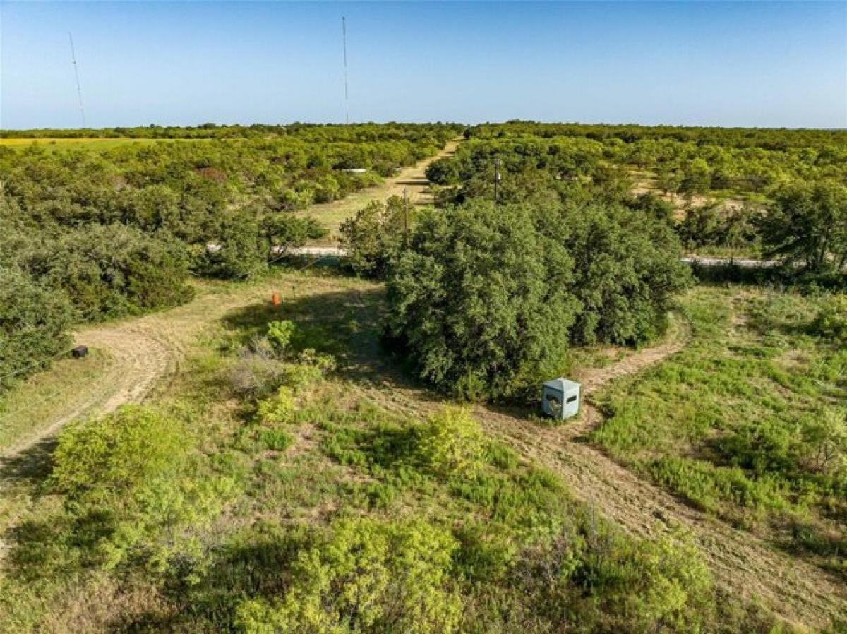 Picture of Home For Sale in Ranger, Texas, United States