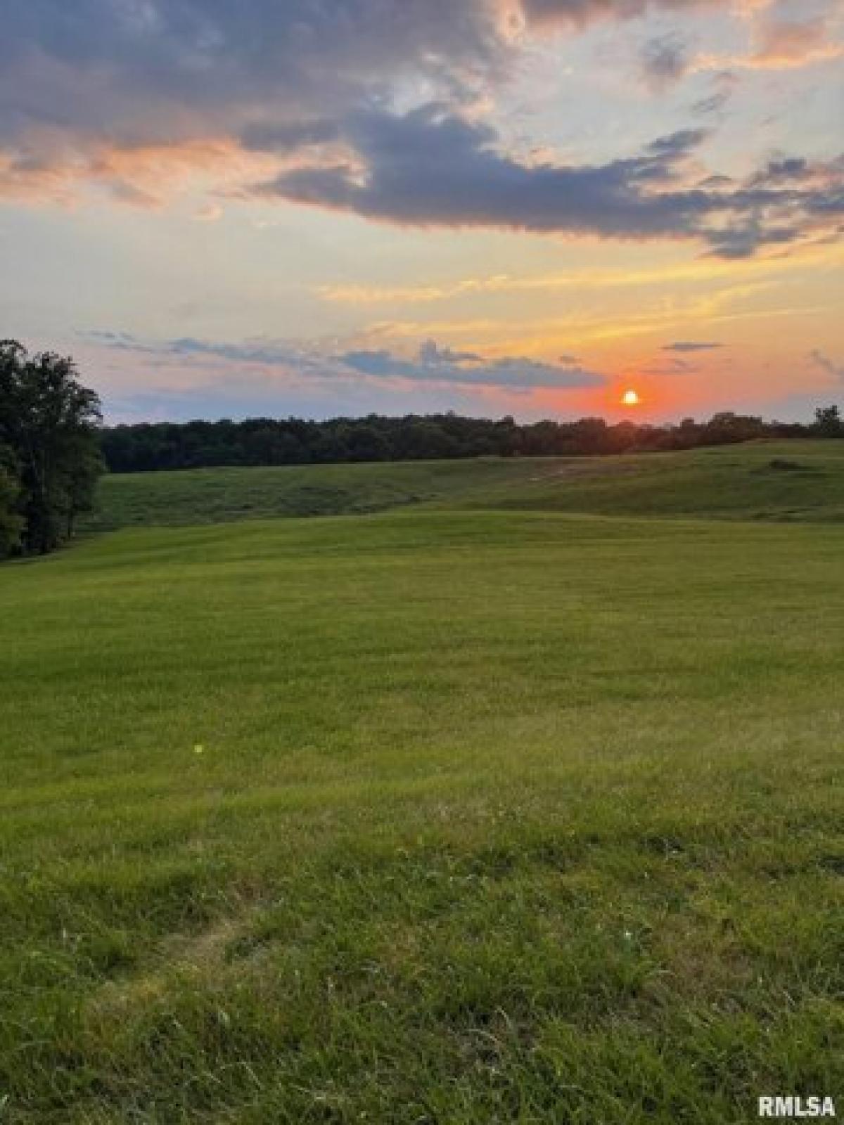 Picture of Residential Land For Sale in Anna, Illinois, United States