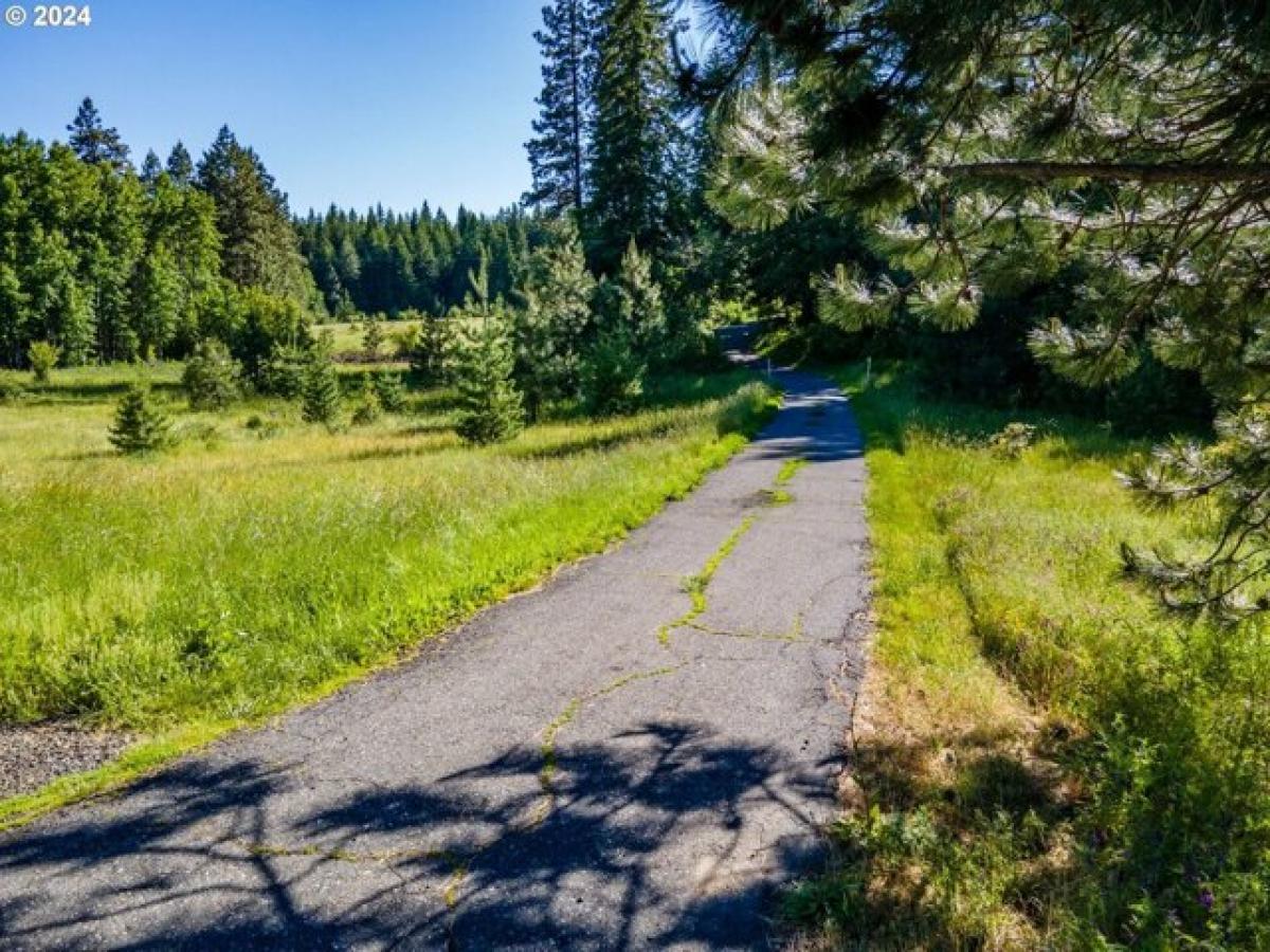 Picture of Home For Sale in White Salmon, Washington, United States