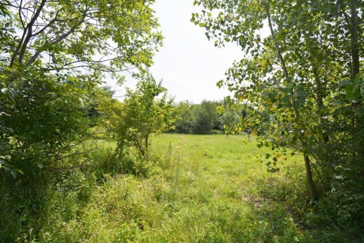 Picture of Home For Sale in Cardington, Ohio, United States