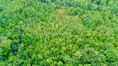 Residential Land For Sale in Ahoskie, North Carolina