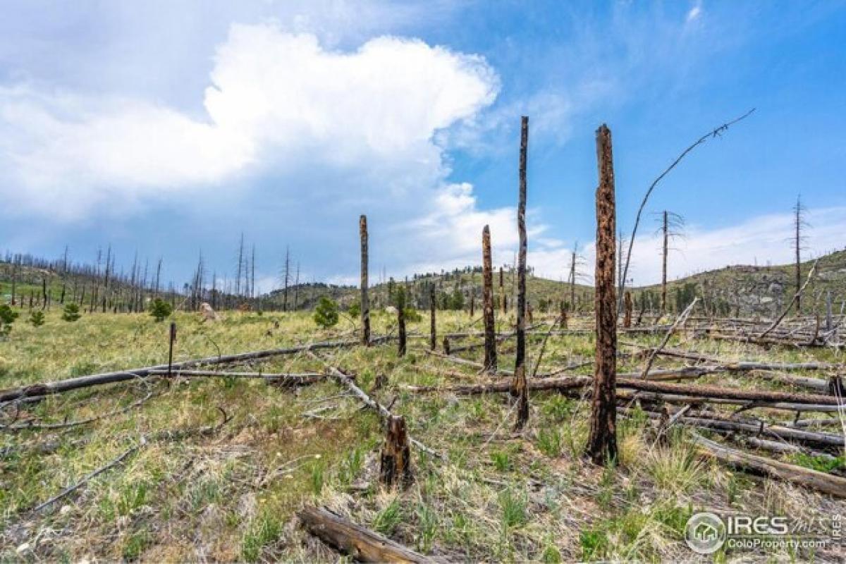 Picture of Residential Land For Sale in Bellvue, Colorado, United States