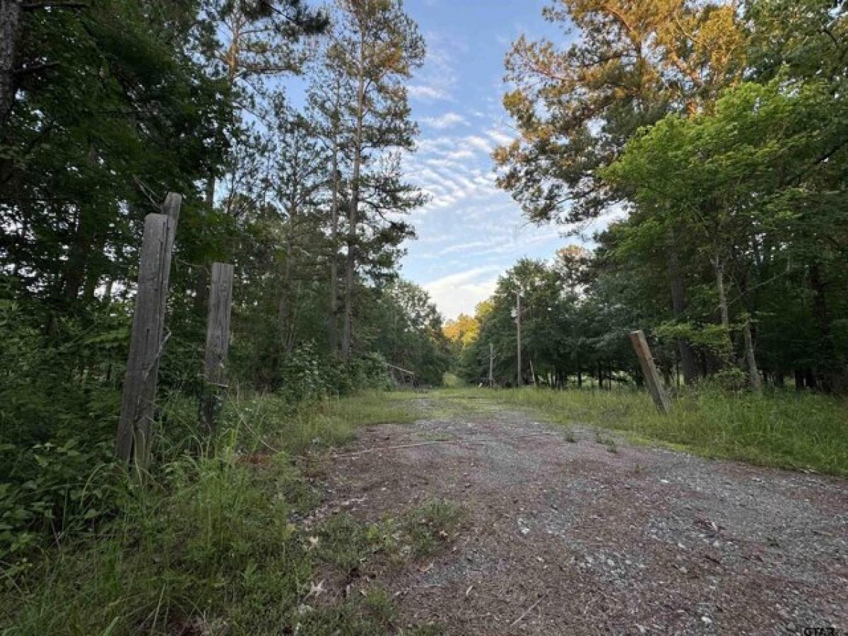 Picture of Residential Land For Sale in Waskom, Texas, United States