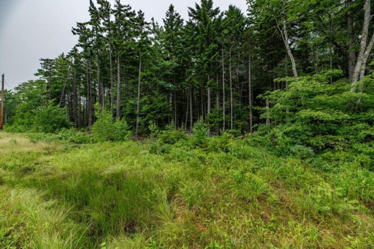 Picture of Residential Land For Sale in Steuben, Maine, United States