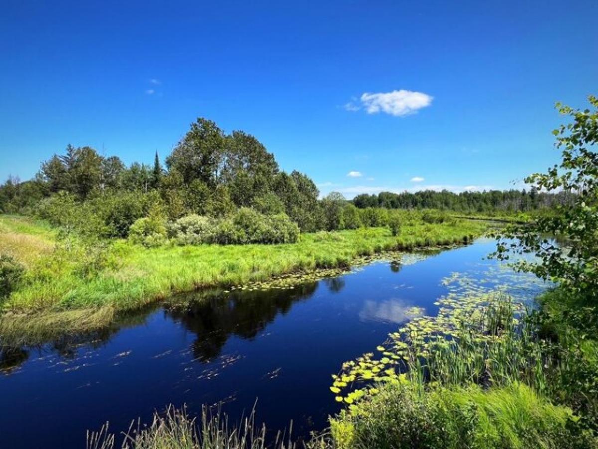 Picture of Residential Land For Sale in Argonne, Wisconsin, United States