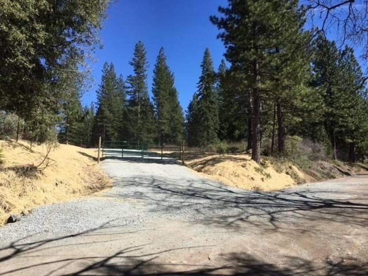 Picture of Residential Land For Sale in Nevada City, California, United States