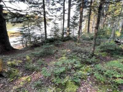 Residential Land For Sale in Machiasport, Maine