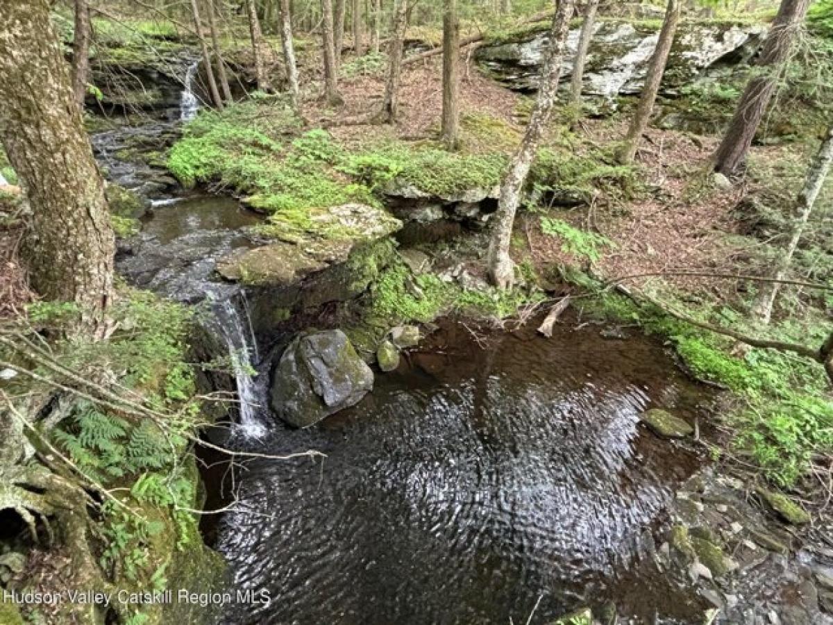 Picture of Home For Sale in Cairo, New York, United States