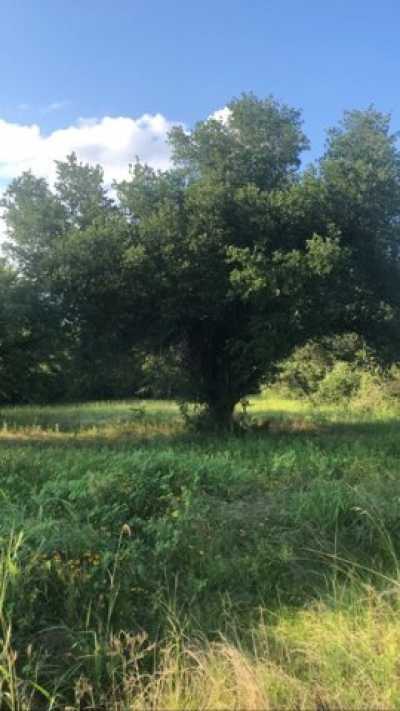 Residential Land For Sale in Midway, Texas