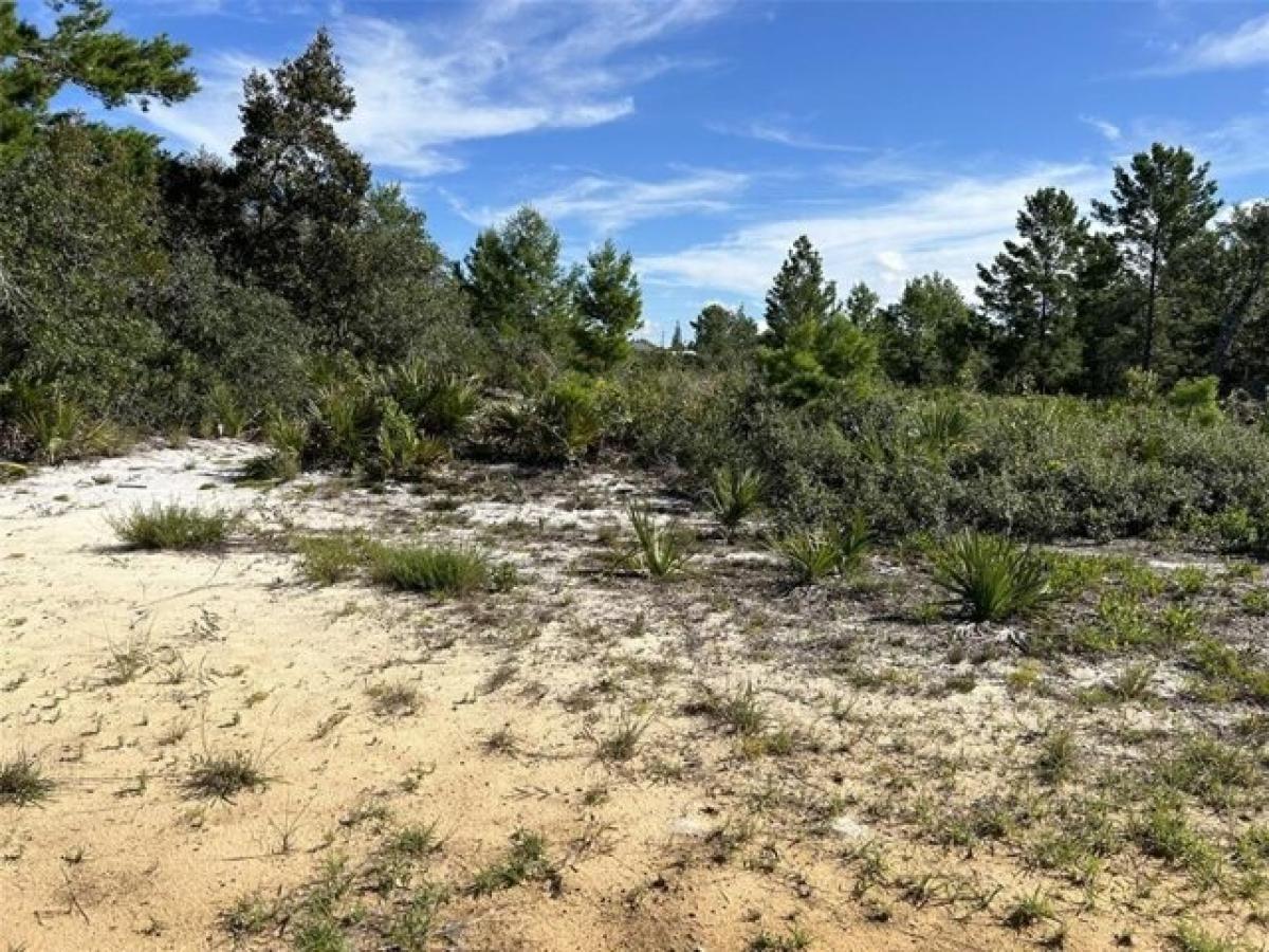 Picture of Residential Land For Sale in Avon Park, Florida, United States