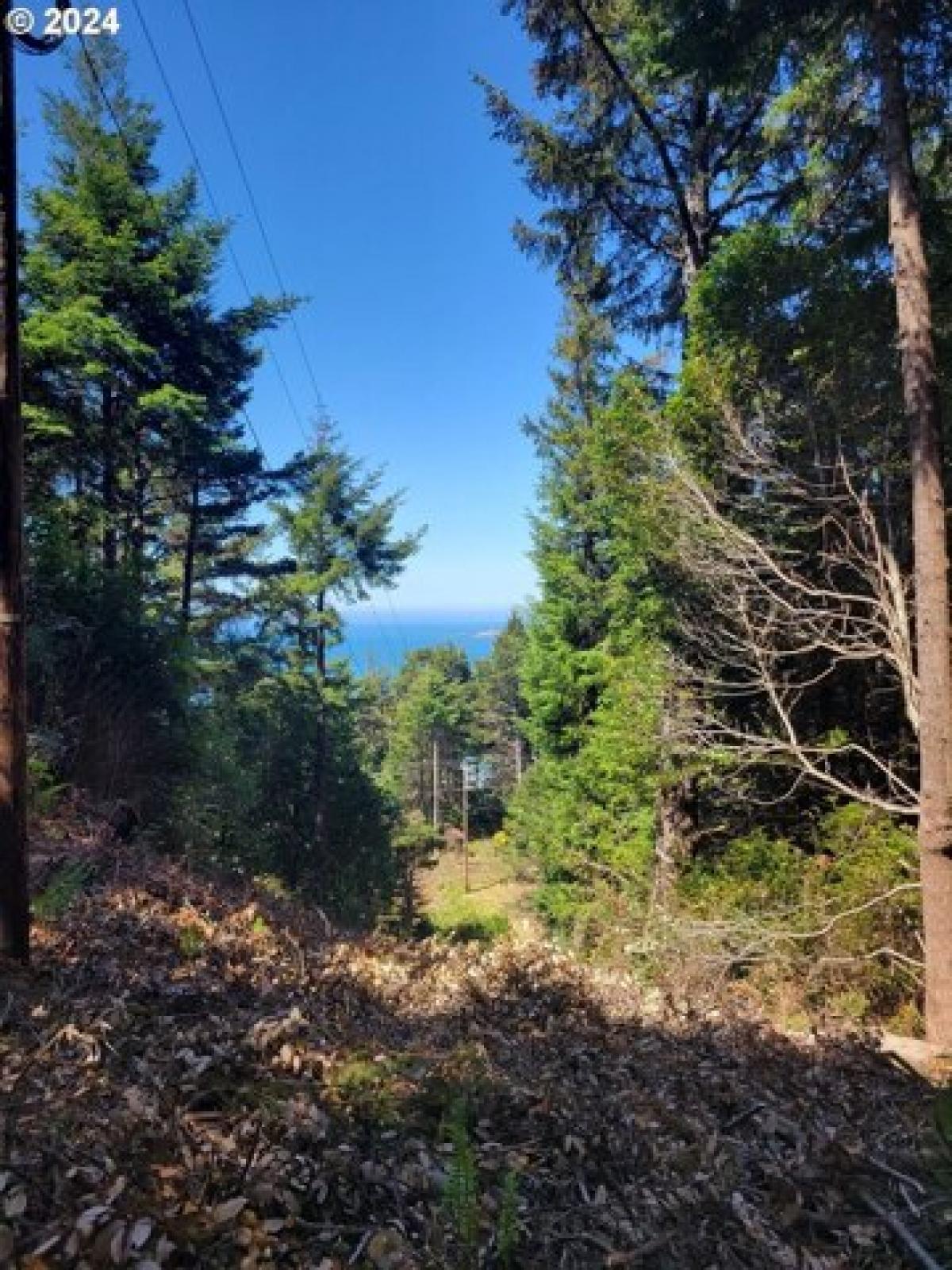 Picture of Residential Land For Sale in Port Orford, Oregon, United States