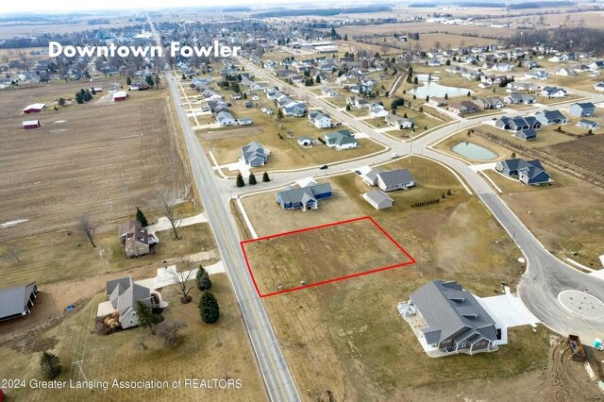 Picture of Residential Land For Sale in Fowler, Michigan, United States