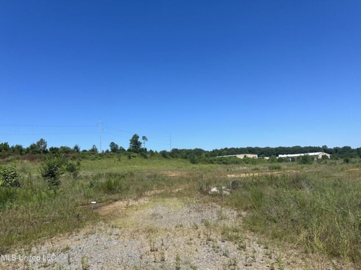 Picture of Residential Land For Sale in Olive Branch, Mississippi, United States