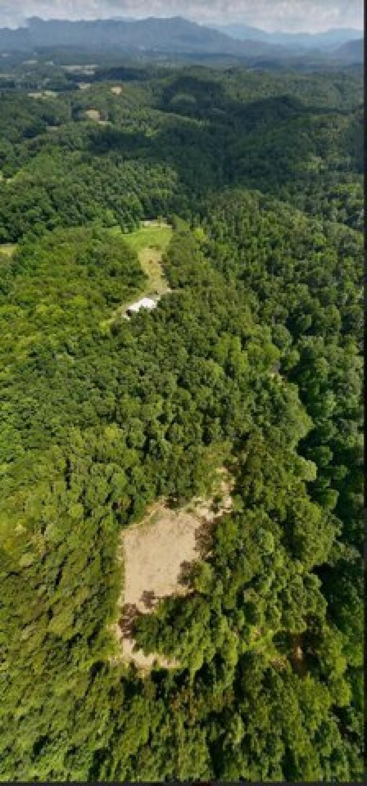 Picture of Residential Land For Sale in Parrottsville, Tennessee, United States