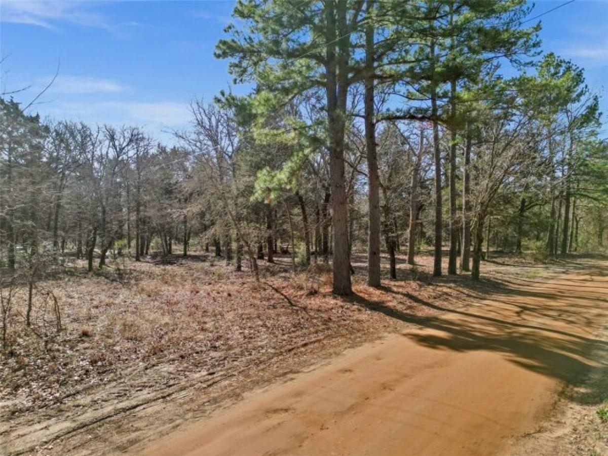 Picture of Residential Land For Sale in Athens, Texas, United States