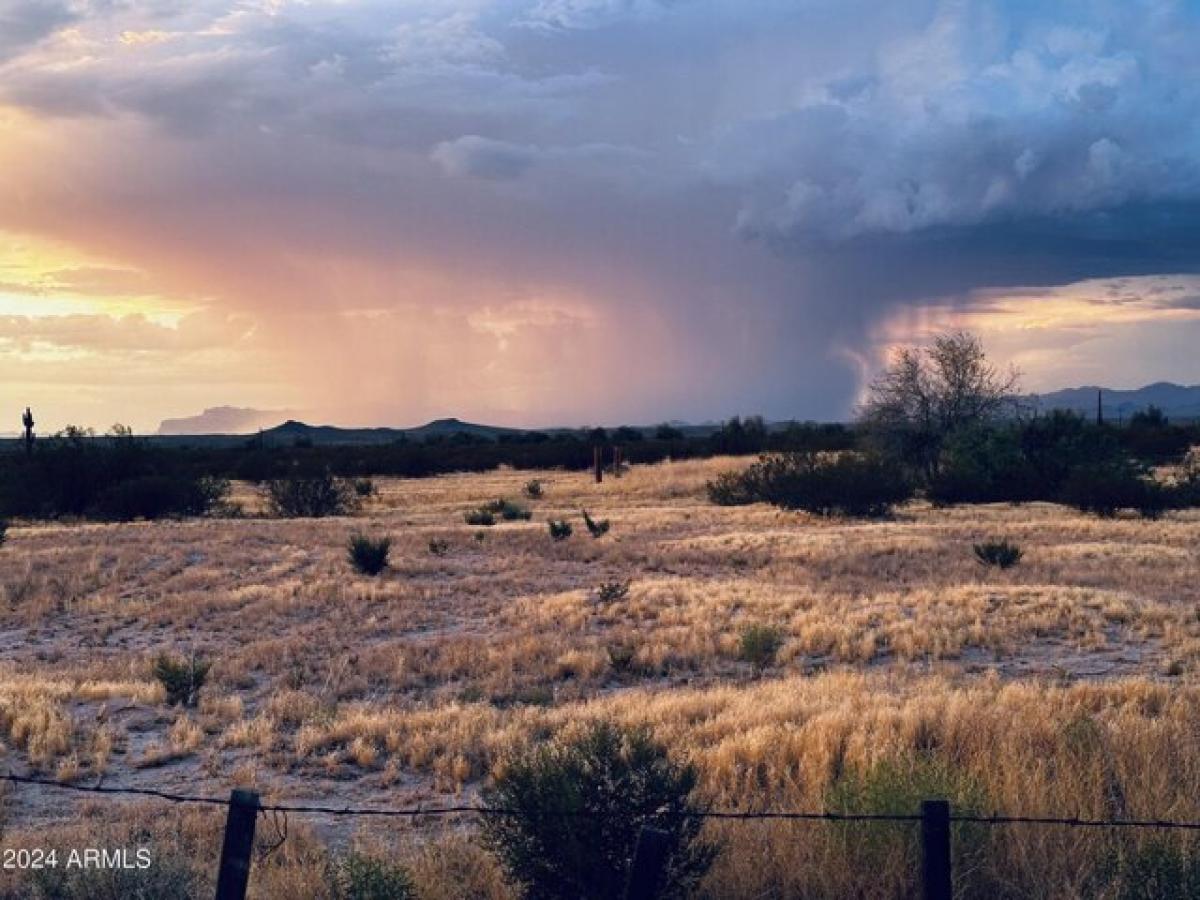 Picture of Residential Land For Sale in Florence, Arizona, United States