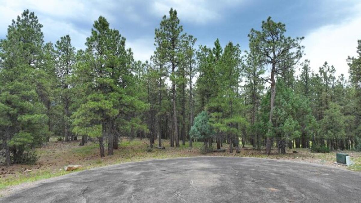 Picture of Residential Land For Sale in Ridgway, Colorado, United States