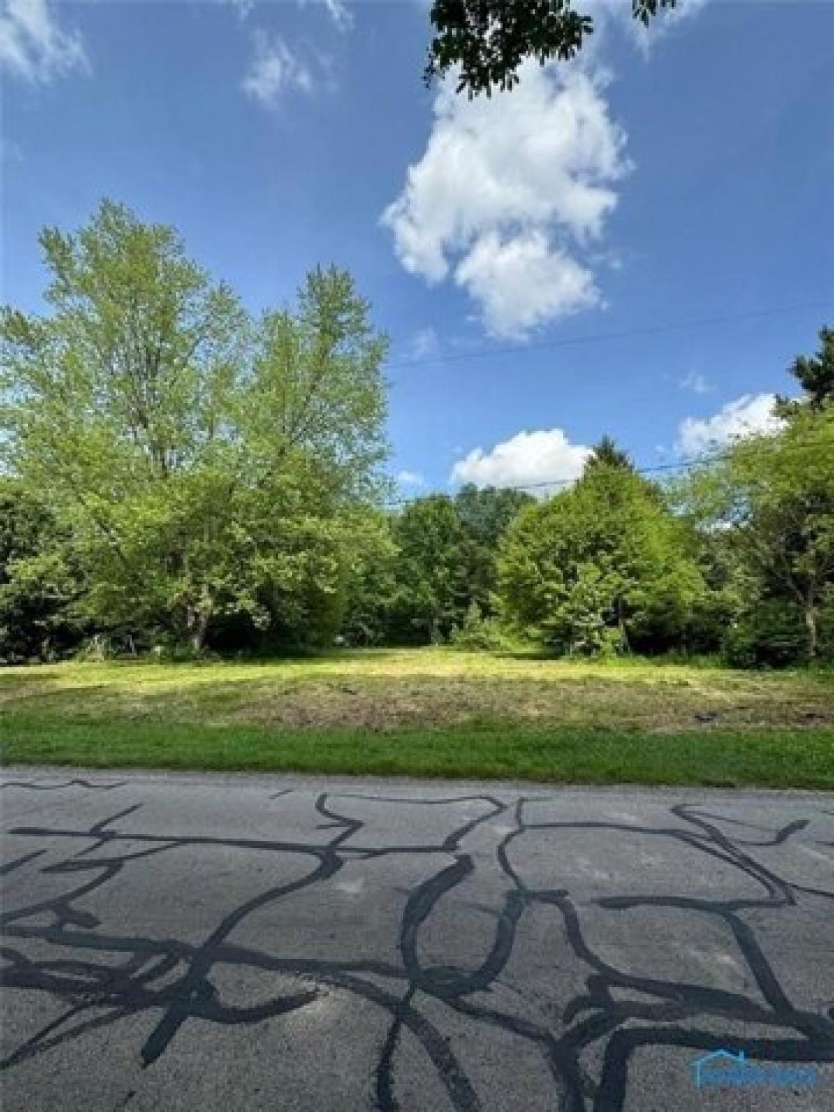 Picture of Residential Land For Sale in Swanton, Ohio, United States