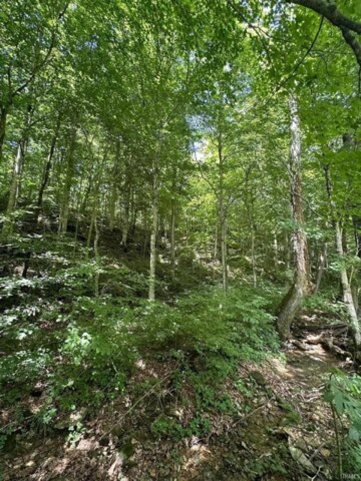 Picture of Residential Land For Sale in French Lick, Indiana, United States