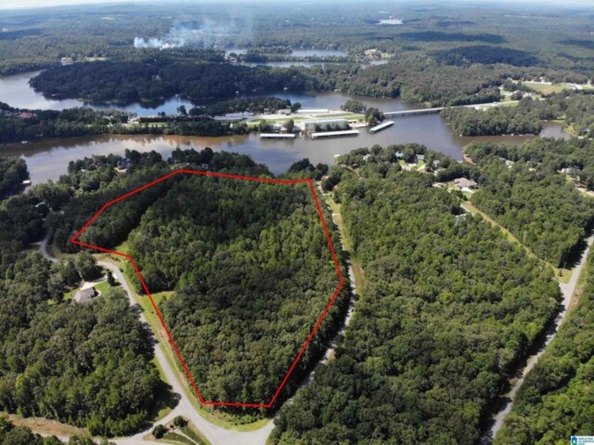 Picture of Residential Land For Sale in Wedowee, Alabama, United States