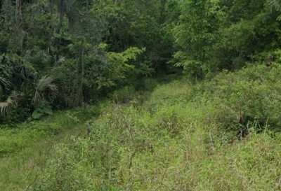 Residential Land For Sale in Brandon, Florida