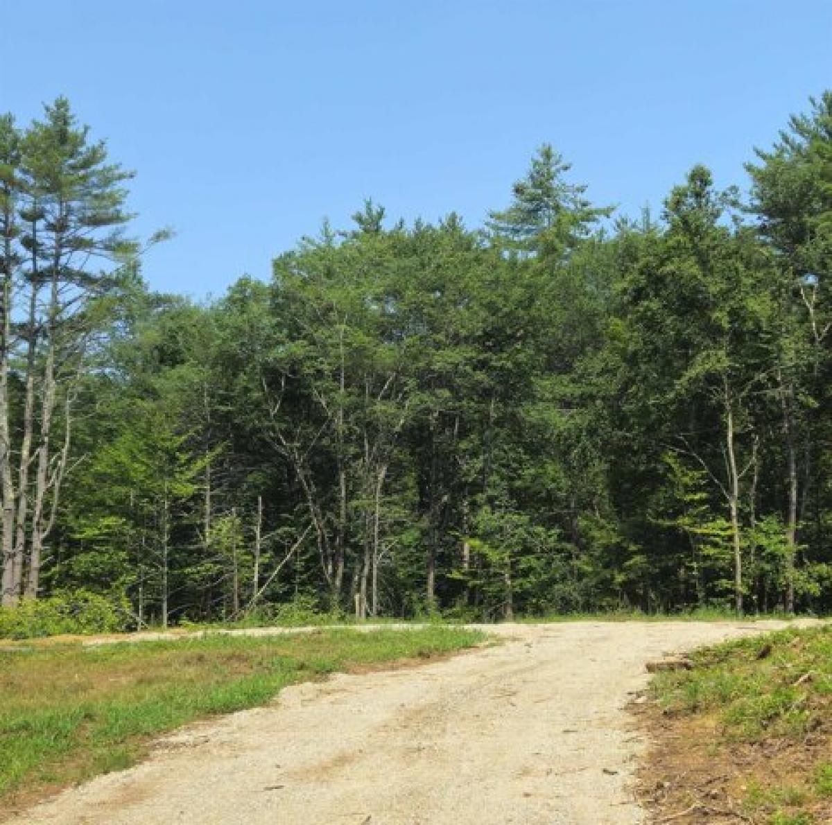 Picture of Residential Land For Sale in Gilmanton, New Hampshire, United States