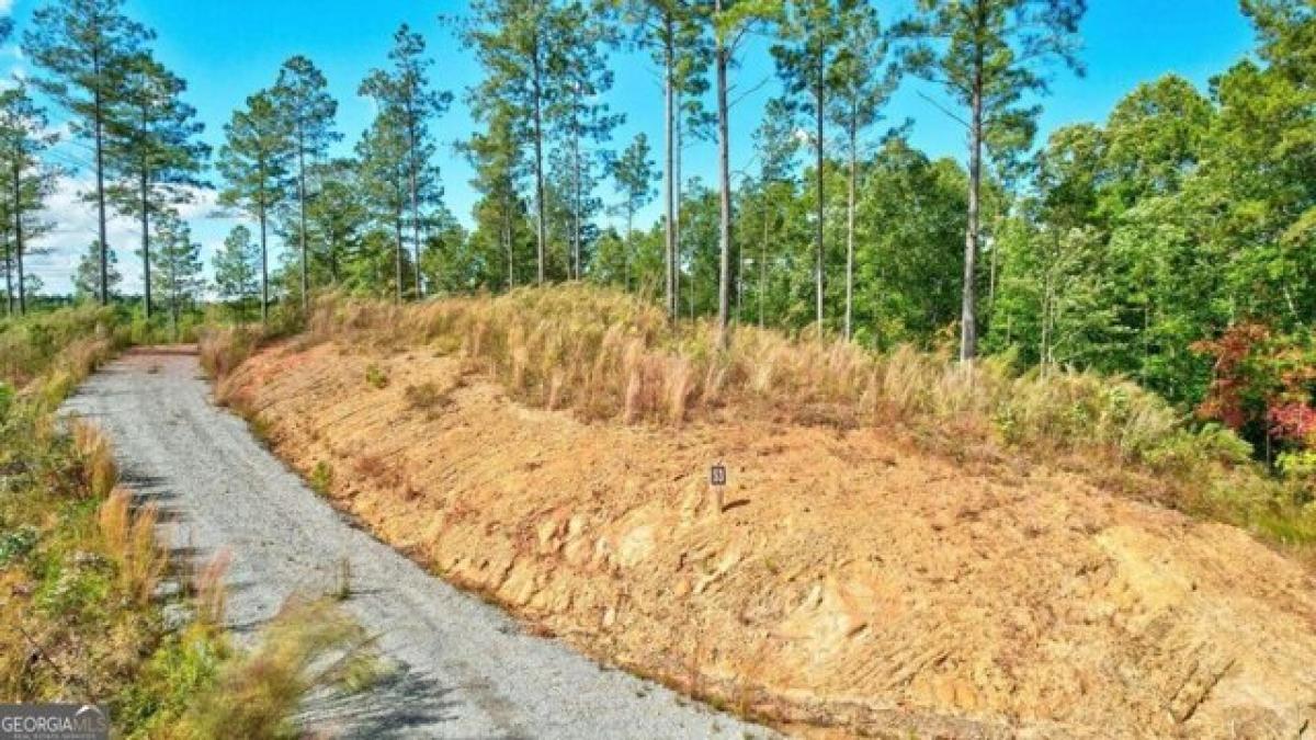 Picture of Residential Land For Sale in Talking Rock, Georgia, United States