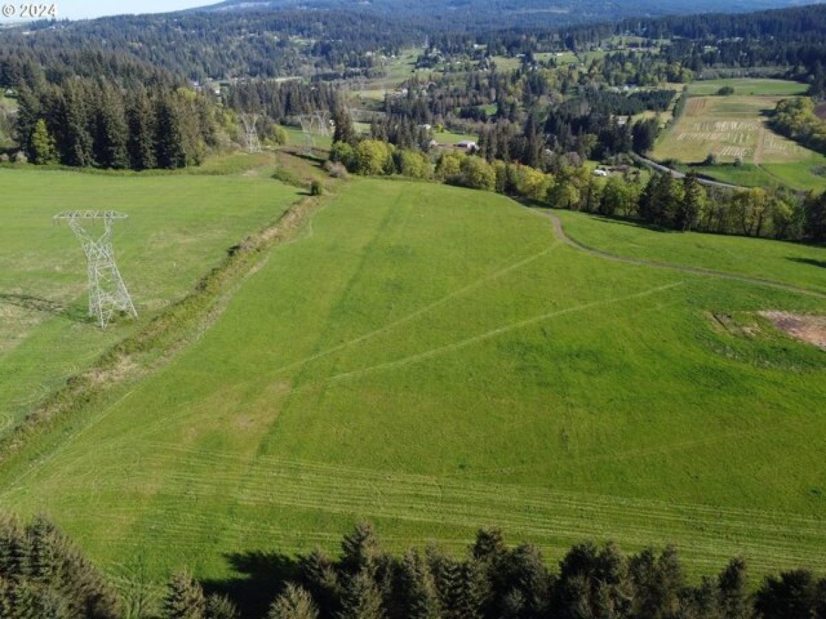 Picture of Residential Land For Sale in Washougal, Washington, United States