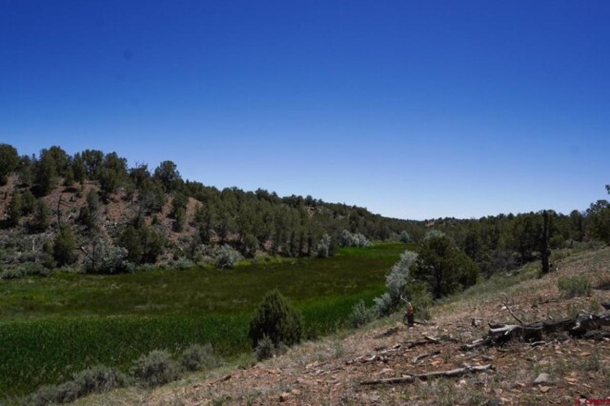 Picture of Residential Land For Sale in Hesperus, Colorado, United States