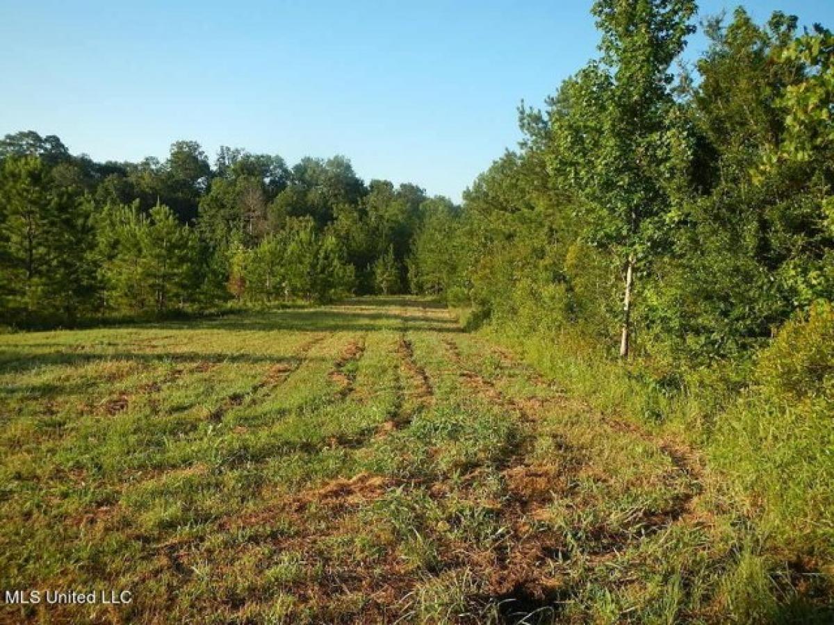 Picture of Residential Land For Sale in Harrisville, Mississippi, United States