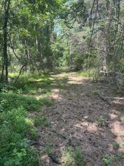 Residential Land For Sale in 