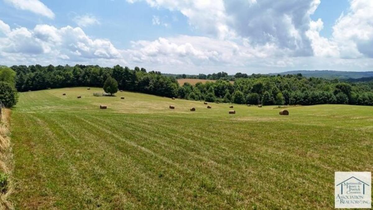 Picture of Residential Land For Sale in Laurel Fork, Virginia, United States