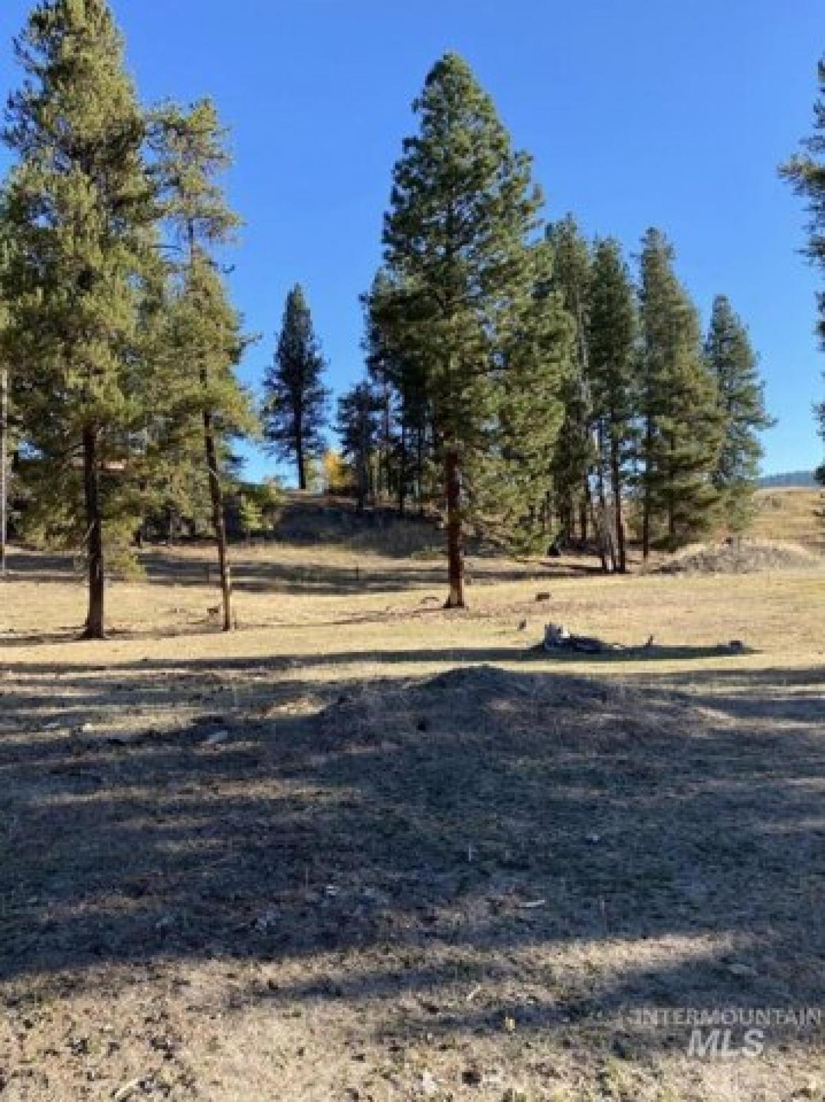 Picture of Residential Land For Sale in Donnelly, Idaho, United States