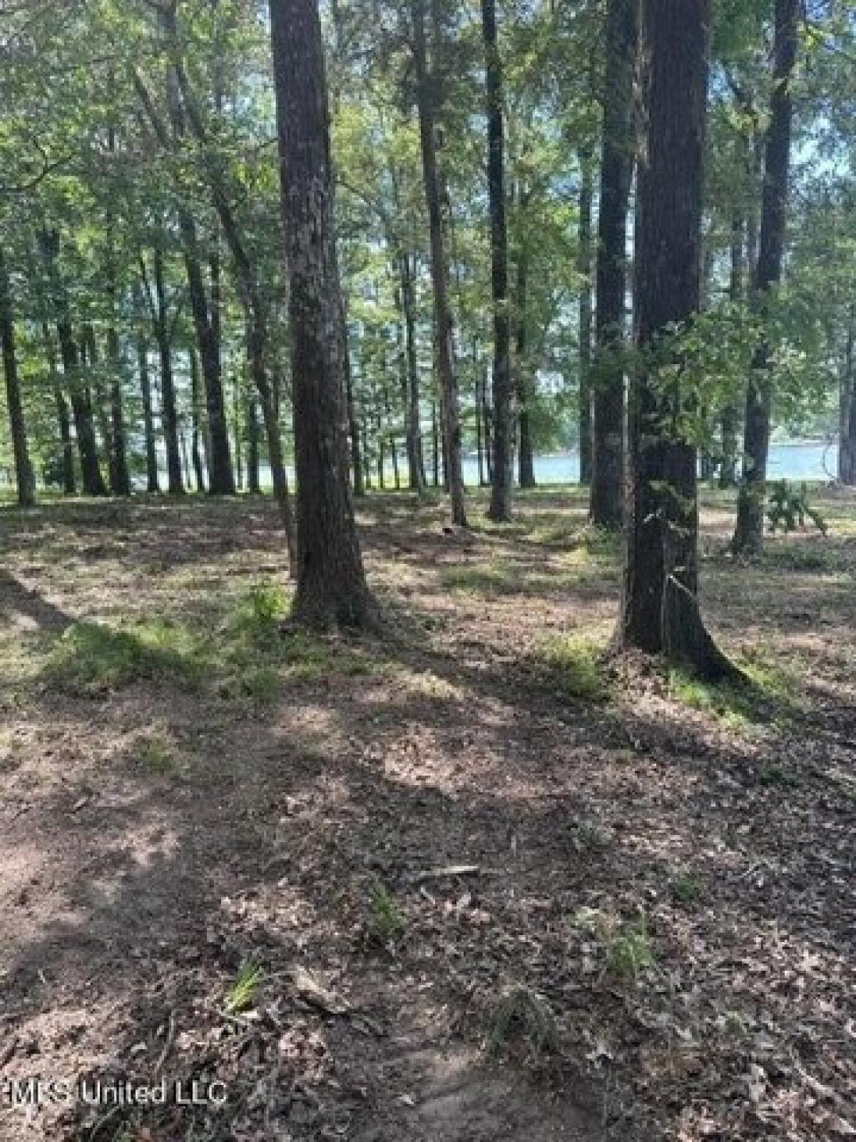 Picture of Residential Land For Sale in Canton, Mississippi, United States