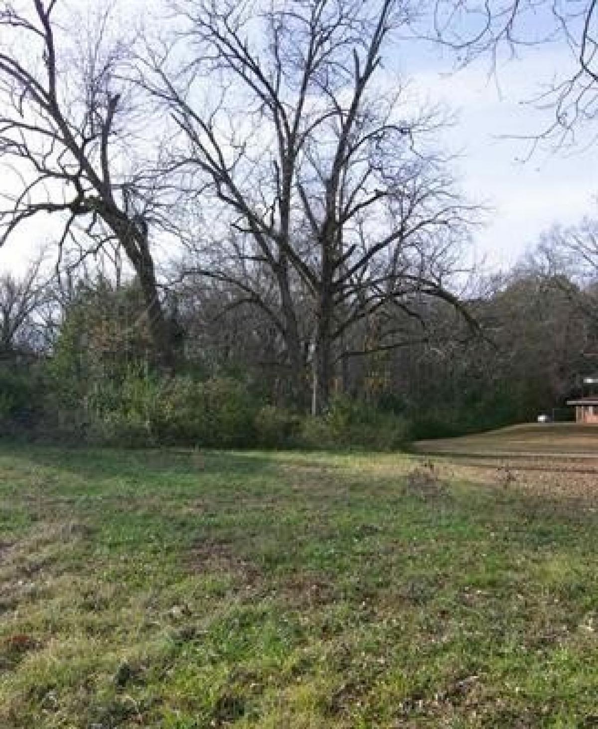 Picture of Residential Land For Sale in Hamilton, Georgia, United States