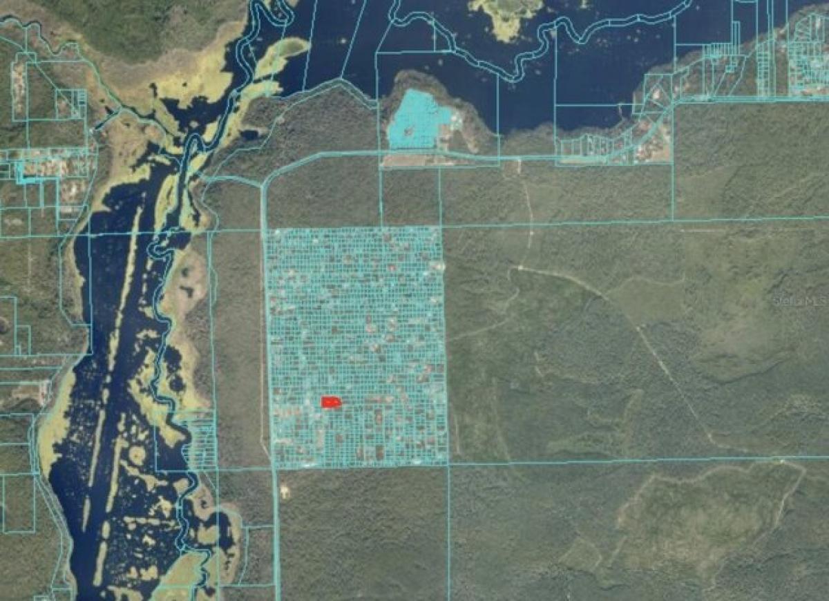 Picture of Residential Land For Sale in Fort Mccoy, Florida, United States