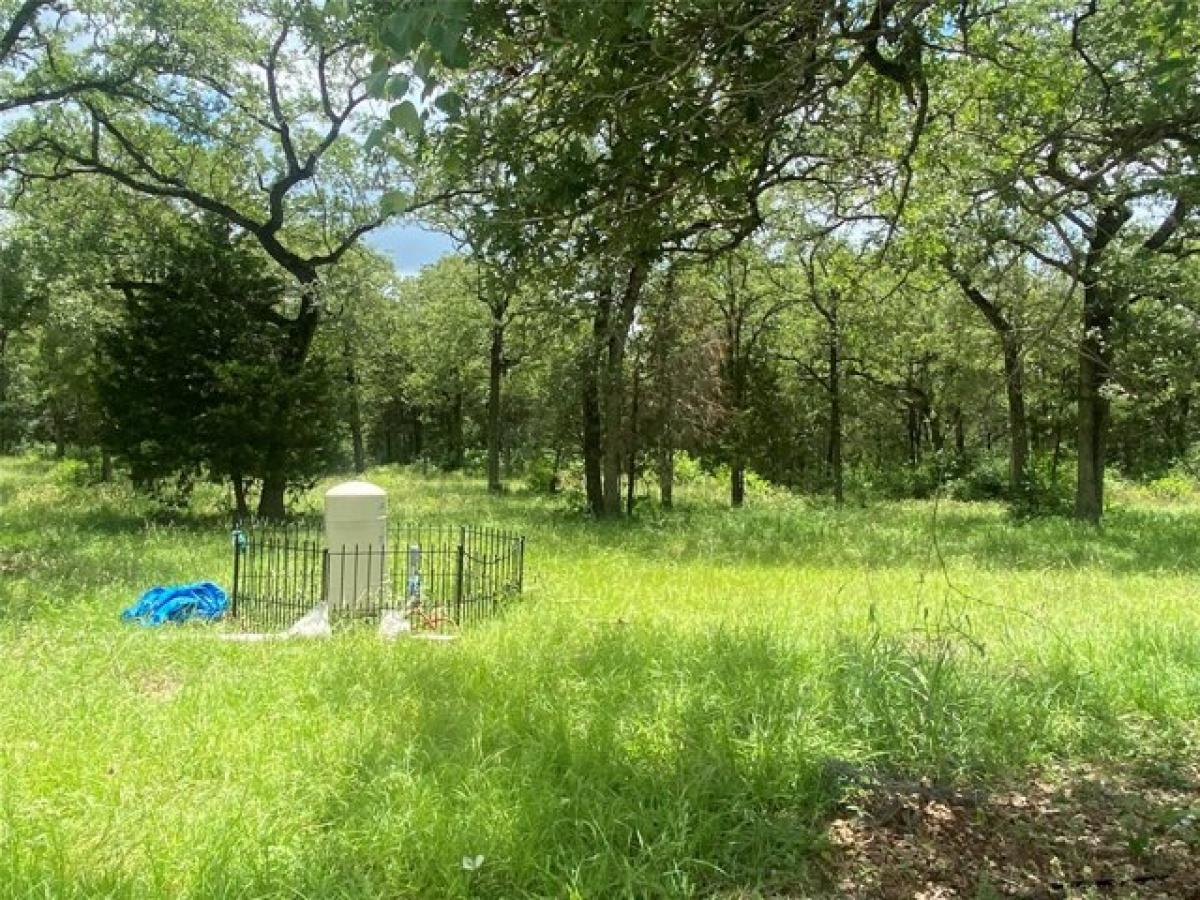 Picture of Residential Land For Sale in Elgin, Texas, United States