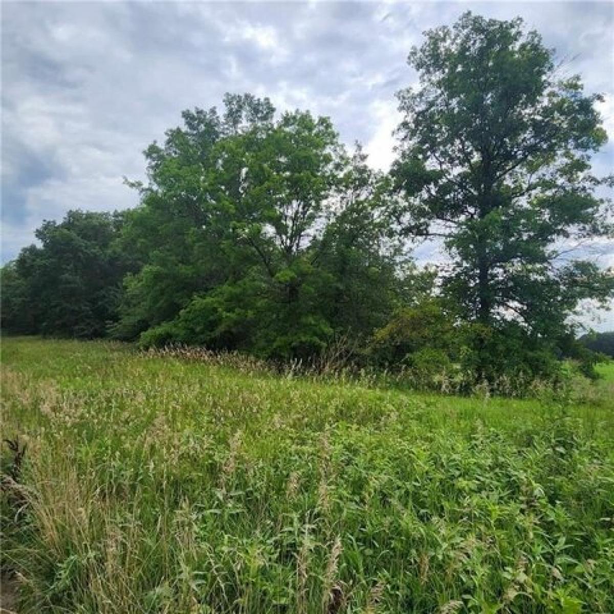 Picture of Residential Land For Sale in Pleasant Hill, Missouri, United States