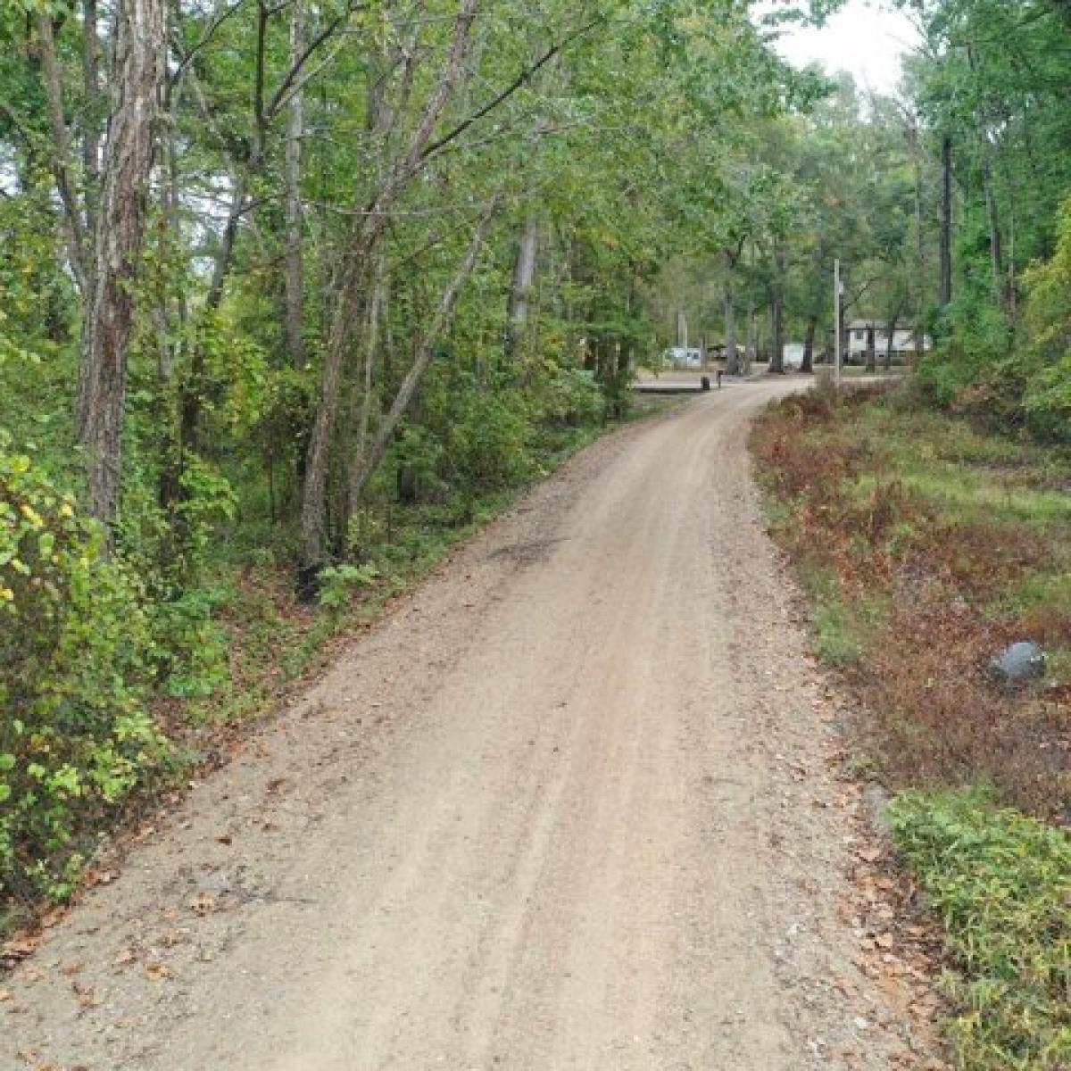 Picture of Residential Land For Sale in Holly Grove, Arkansas, United States