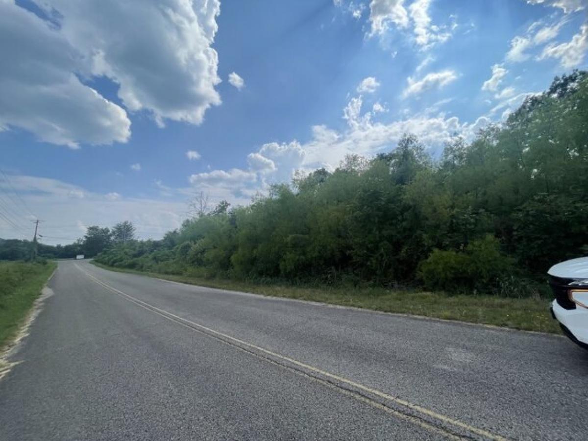 Picture of Residential Land For Sale in Pulaski, Tennessee, United States