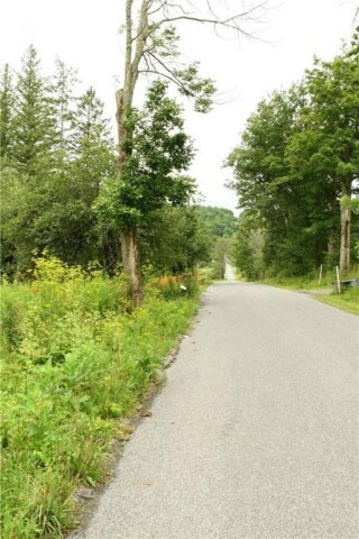 Picture of Residential Land For Sale in Unadilla, New York, United States