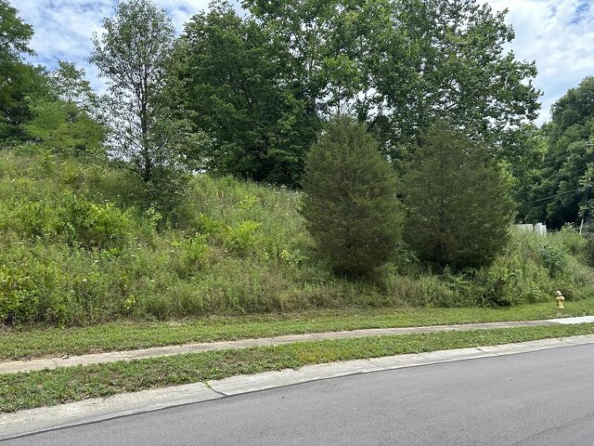 Picture of Residential Land For Sale in Independence, Kentucky, United States