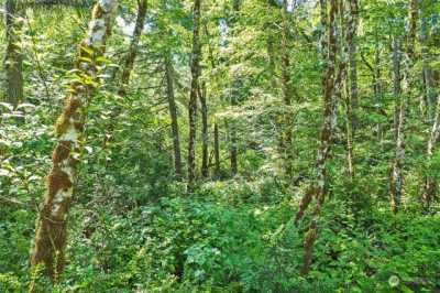 Residential Land For Sale in Anderson Island, Washington