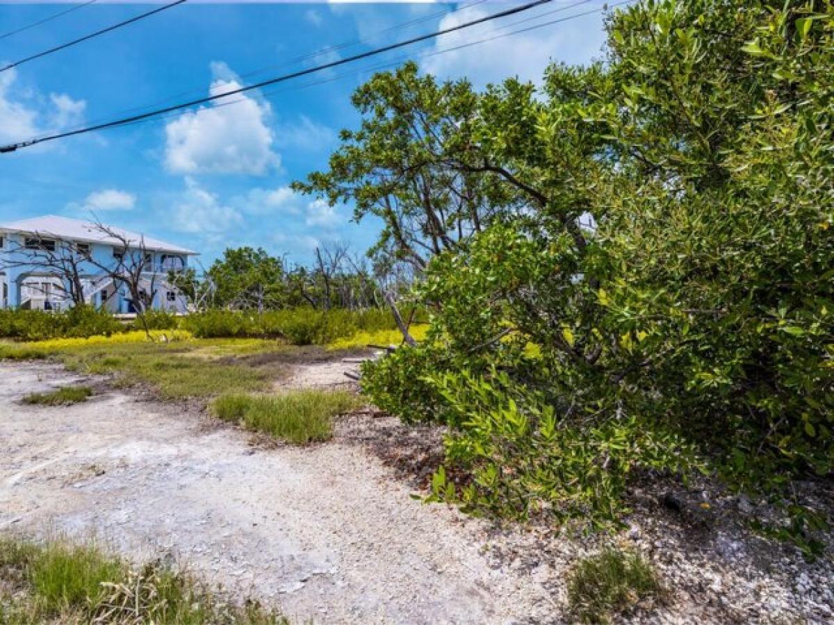 Picture of Residential Land For Sale in Cudjoe Key, Florida, United States