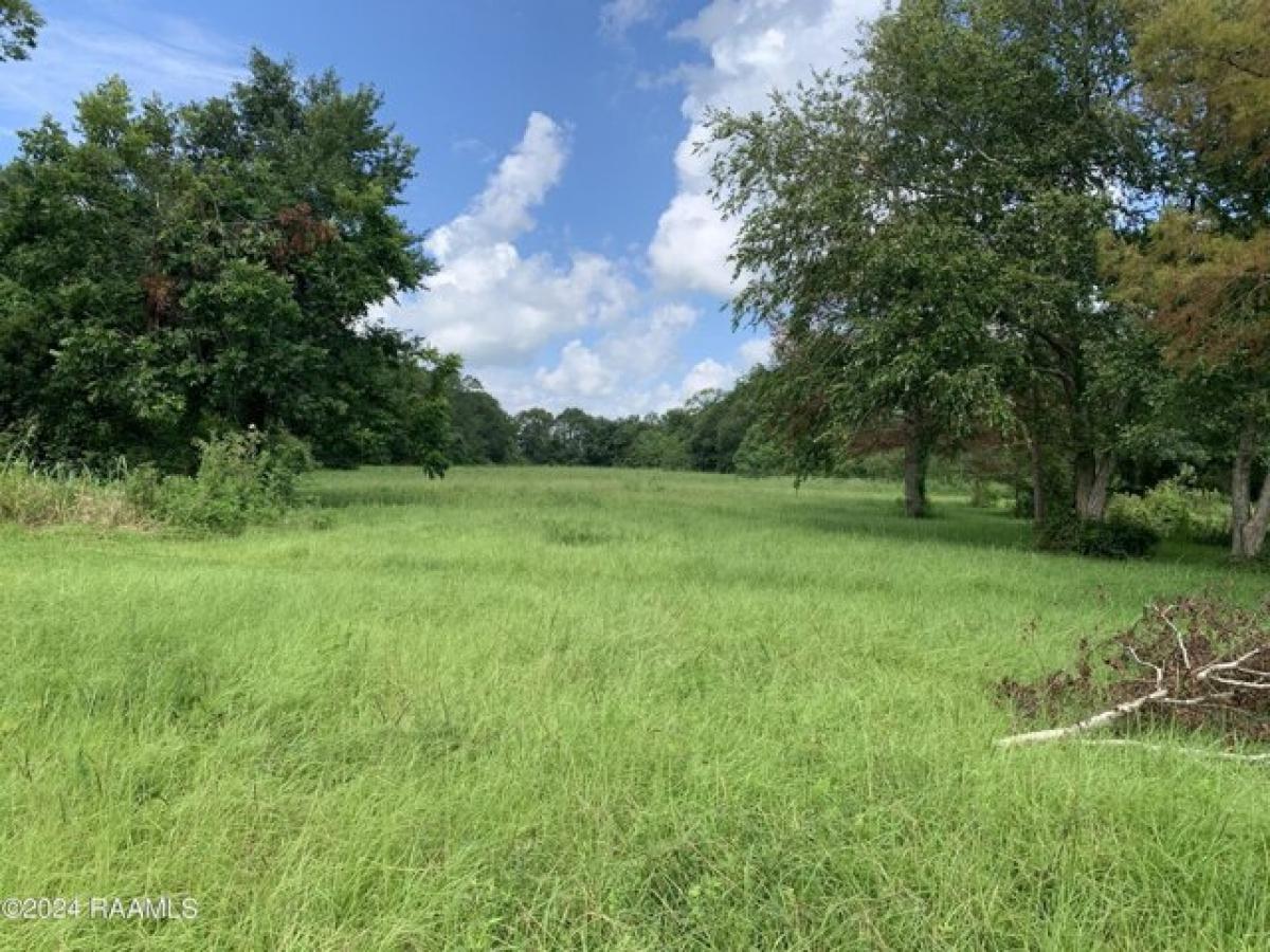 Picture of Residential Land For Sale in Youngsville, Louisiana, United States