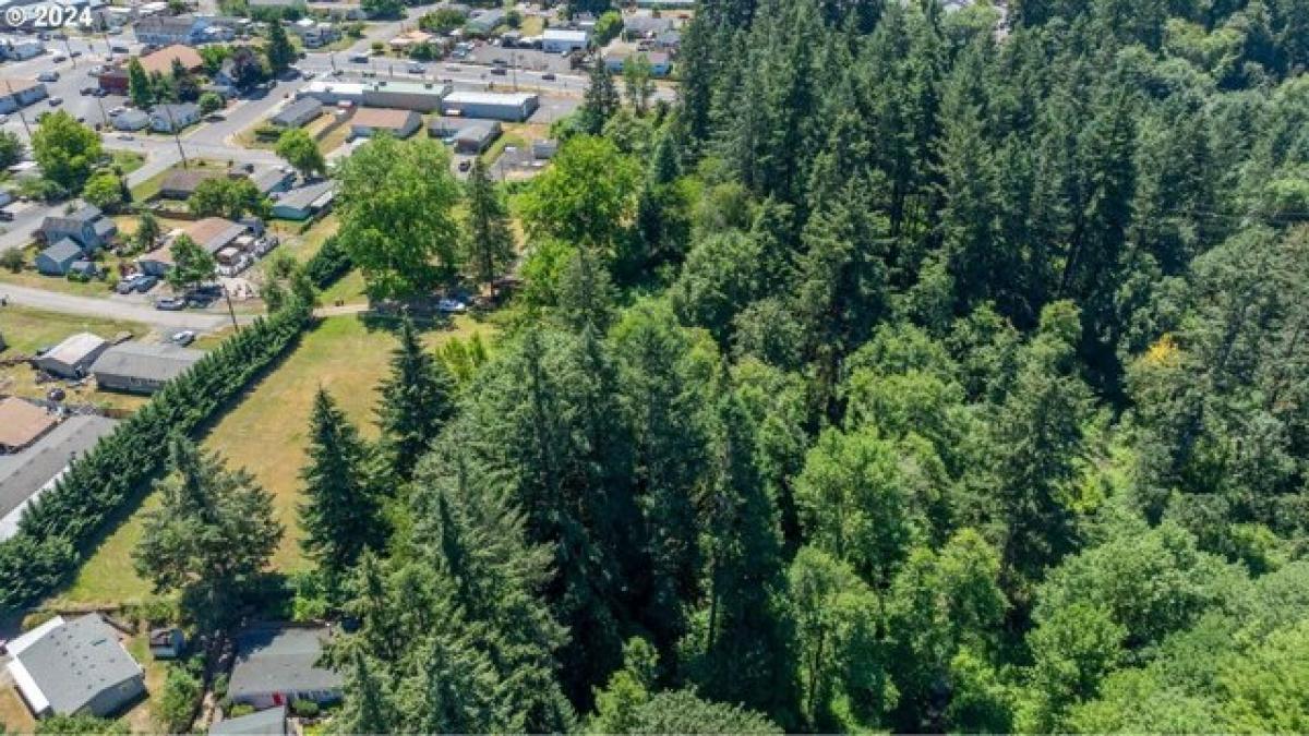 Picture of Residential Land For Sale in Lafayette, Oregon, United States