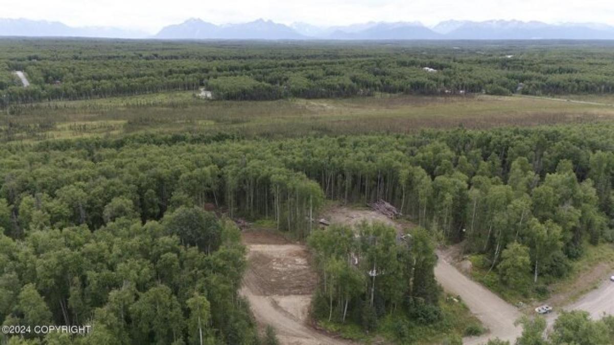 Picture of Residential Land For Sale in Houston, Alaska, United States